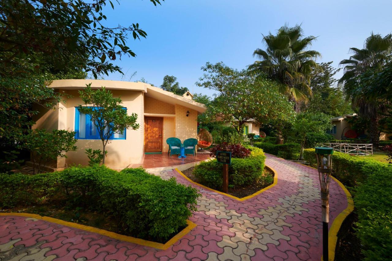 Acorn Hideaway &